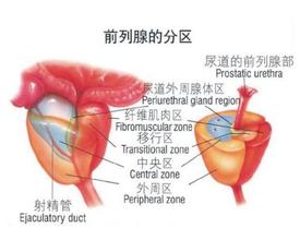 前列腺痛有哪些不适的症状呢